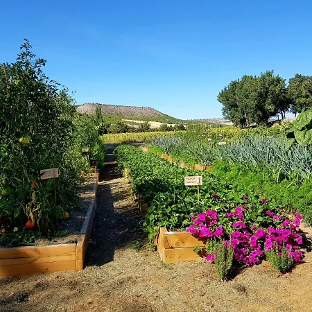 Abadia Retuerta Ledomaine Sardon De Duero