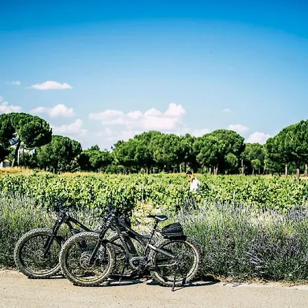 Abadia Retuerta Ledomaine Сардон-де-Дуэро