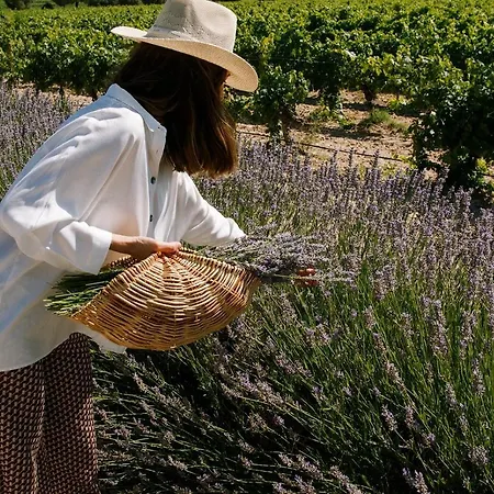 Abadia Retuerta Ledomaine