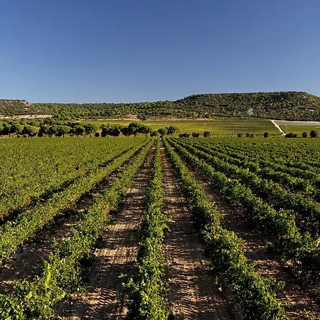 Abadia Retuerta Ledomaine 5* Sardon De Duero