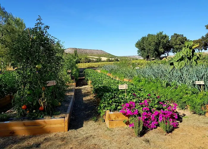 Abadia Retuerta Ledomaine Sardon De Duero