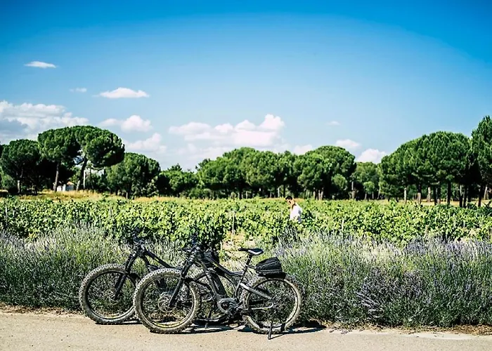 阿巴迪亚雷图尔塔勒多敏酒店 Sardon De Duero