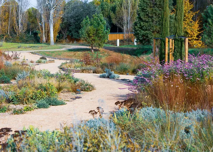 酒店 阿巴迪亚雷图尔塔勒多敏酒店 5*