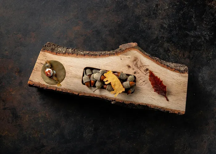 阿巴迪亚雷图尔塔勒多敏酒店 酒店